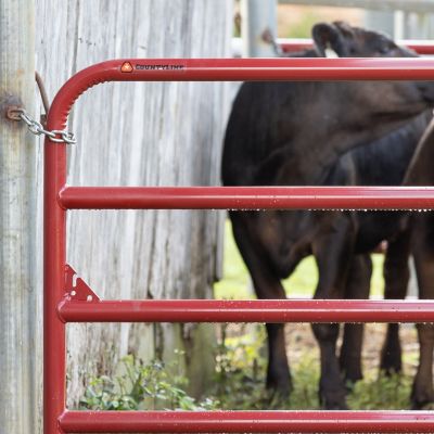 Image showing  4 ft. x 52 in. 6-Bar Heavy-Duty Tube Gate, Red