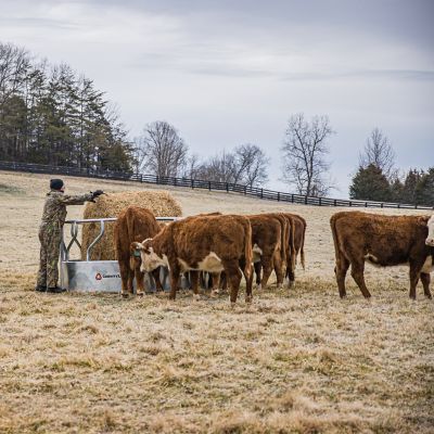 Image showing  1 Round Bale 8 ft. x 45 in. Galvanized Heavy-Duty Feeder with Skirt