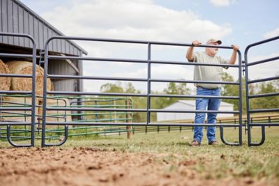 Image showing  10 ft. x 62 in. 6-Bar Corral Panel, 1-3/4 in. Tube, Blue