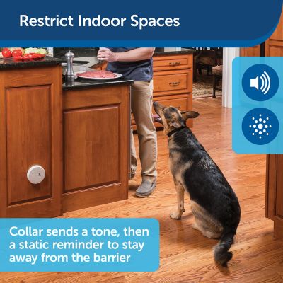 Image showing  Pawz Away Pet Barrier