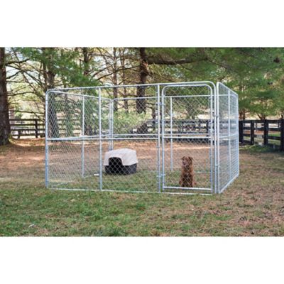6 ft. x 10 ft. x 10 ft. Gold Series Complete Chain Link Dog Kennel