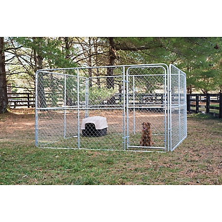 456px x 456px - 6 ft. x 10 ft. x 10 ft. Gold Series Complete Chain Link Dog Kennel at  Tractor Supply Co.