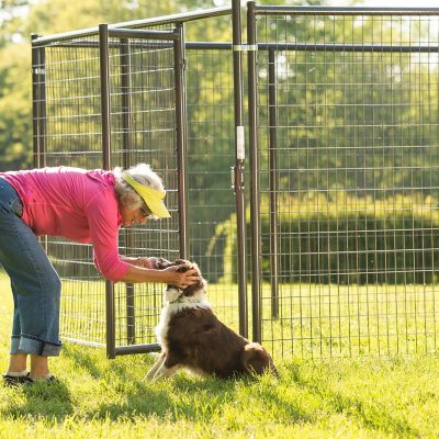 Image showing  5 ft. x 6 ft. Gray Heavy-Duty Dog Kennel Elite Side Panel