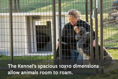 Image showing  6 ft. x 2 in. x 5 ft. Gray Heavy-Duty Dog Kennel Front Panel