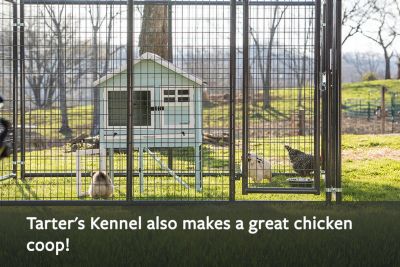 Image showing 8 th Tarter 6 ft. x 2 in. x 5 ft. Gray Heavy-Duty Dog Kennel Front Panel