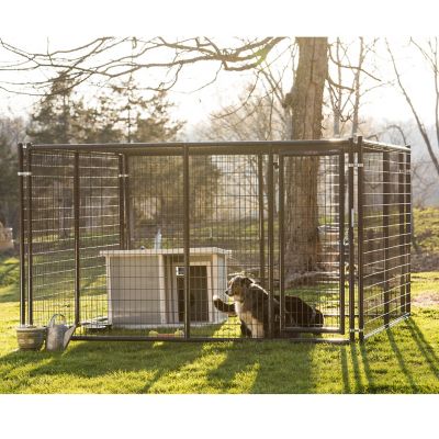 Tarter 6 ft. x 10 ft. x 10 ft. Heavy Duty Welded Wire Dog Kennel