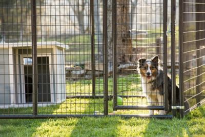 Image showing  6 ft. x 10 ft. Gray Heavy-Duty Dog Kennel Front Panel