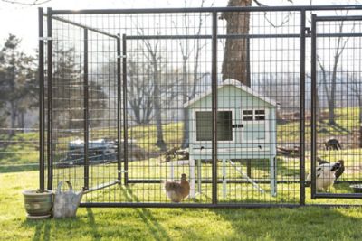Image showing  6 ft. x 10 ft. Gray Heavy-Duty Dog Kennel Front Panel