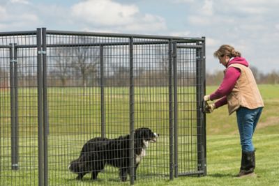 Image showing 5 th Tarter 6 ft. x 10 ft. Gray Heavy-Duty Dog Kennel Front Panel