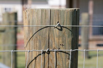 Image showing  1-1/2 in. Double Barbed Fence Staples, 8 lb.