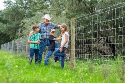 Image showing  330 ft. x 14 Gauge 1047-6 Gaucho High-Tensile Field Fence
