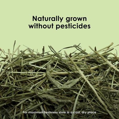 Image showing  All Natural Timothy Hay Mini Bales, 24 oz.