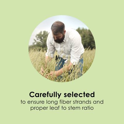 Image showing  All Natural Timothy Hay Mini Bales, 24 oz.