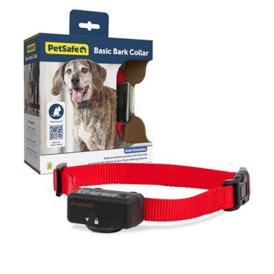 PetSafe Basic Bark Control Collar for Dogs 8 lb. and Up, Anti-Bark Training Device