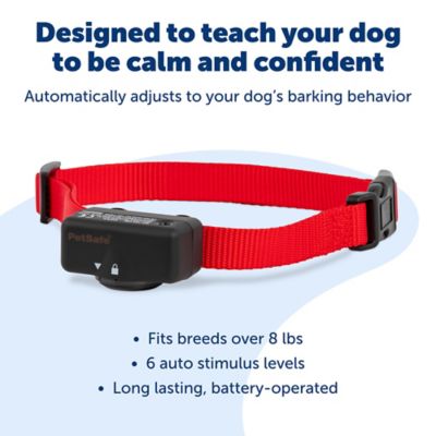 Image showing  Basic Bark Control Collar for Dogs 8 lb. and Up