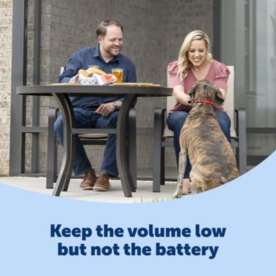 Image showing  Basic Bark Control Collar for Dogs 8 lb. and Up