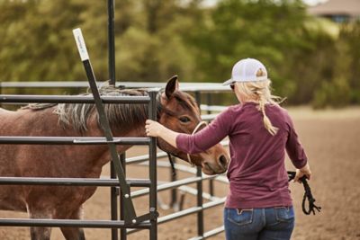 Image showing  6 ft. x 9 ft. 6-Bar Equine Corral Walk Through with 5 ft. Tall Gate, 1-3/4 in. Tube, Gray