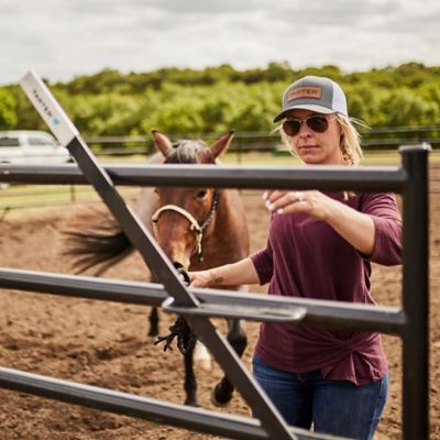 Image showing  6 ft. x 9 ft. 6-Bar Equine Corral Walk Through with 5 ft. Tall Gate, 1-3/4 in. Tube, Gray