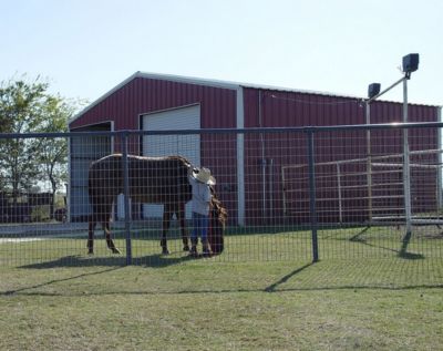 Image showing 5 ft. x 16 ft. Horse Fence Panel