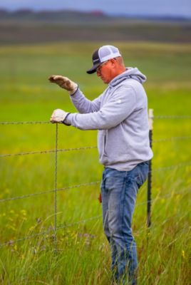 Image showing 48 in. Fence Stay