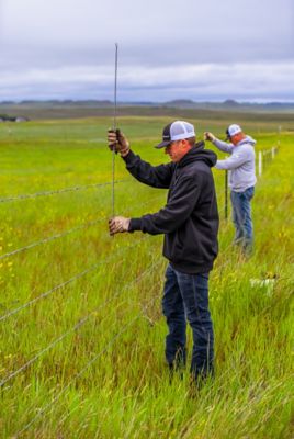 Image showing 48 in. Fence Stay