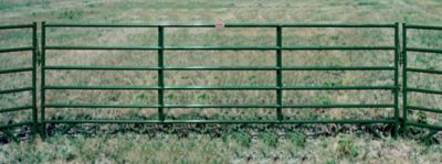 Image showing  16 ft. x 60 in. 6-Bar Prairie Panel, Green