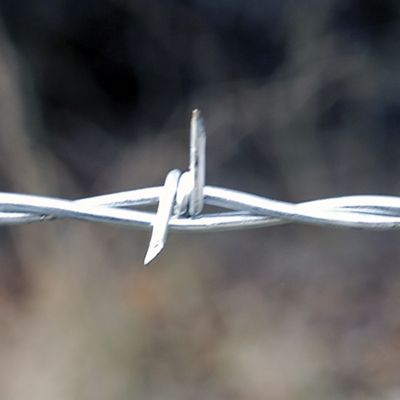 Image showing 1,320 ft. 12.5-Gauge Premium 2-Point Class 1 Barbed Wire