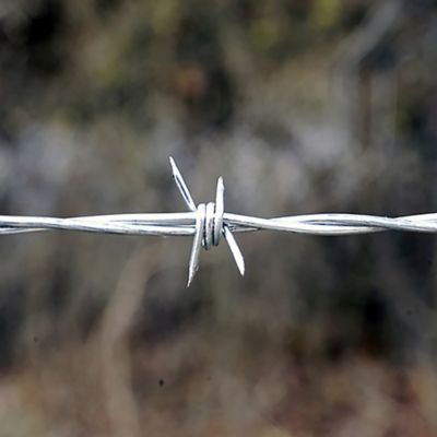 Image showing 1,320 ft. 12.5-Gauge Premium 4-Point Class 1 Barbed Wire