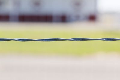 Image showing 12.5 Gauge Barbless Cable