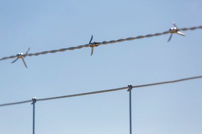 Image showing  1,320 ft. 15.5 ga. 4-Point Gaucho High-Tensile Barbed Wire
