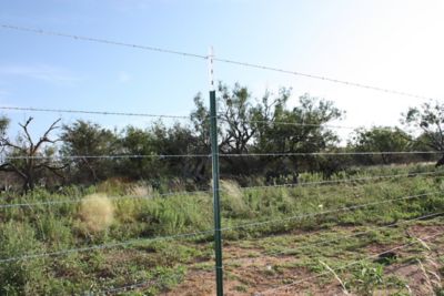 Image showing  1,320 ft. 15.5 ga. 2-Point Gaucho High-Tensile Barbed Wire