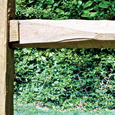 Image showing  36in H x 25ft L Green Vinyl Poultry Netting with 1in Openings