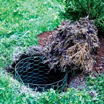 Image showing  36in H x 25ft L Green Vinyl Poultry Netting with 1in Openings