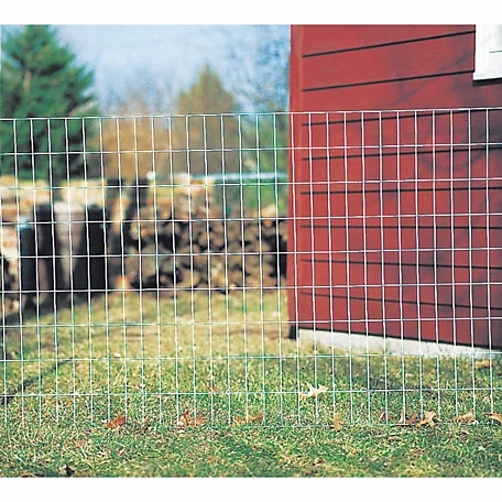 Red Brand 4 ft. x 100 ft. Galvanized Welded Wire Garden Fence, 2 in. x 4  in. Mesh at Tractor Supply Co.