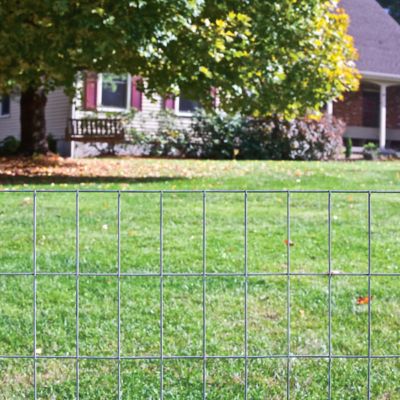308361B Galvanized Welded Wire Fence x 50-Ft - Quantity 1 36-In 