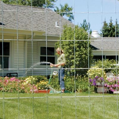 Image showing  50 ft. x 4 ft. 14-Gauge Welded Wire with 2 in. x 4 in. Mesh