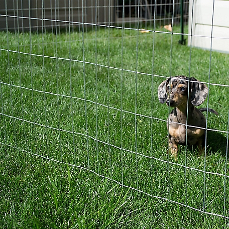 4 ft. x 100 ft. Galvanized Welded Wire Garden Fence, 2 in. x 4 in. Mesh at  Tractor Supply Co.