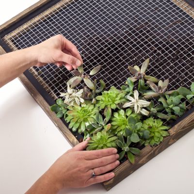 Image showing  1/2 in. Mesh 19-Gauge Hardware Cloth, 10 ft. x 24 in.