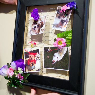 Image showing  1 in. Mesh 50 ft. x 24 in. Galvanized Hex Poultry Netting/Chicken Wire