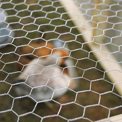 Image showing  1 in. Mesh 50 ft. x 36 in. Galvanized Hex Poultry Netting/Chicken Wire