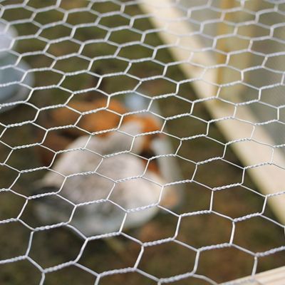 48'' x 50'' Galvanized Poultry Net Metal Mesh Fencing Chicken Wire Coops ❤ USA 