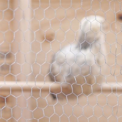 Image showing  1 in. Mesh 150 ft. x 48 in. Poultry Netting/Chicken Wire