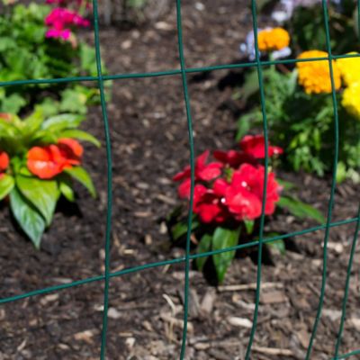 Image showing 50 ft. 2 in. x 3 ft. x 3 in. Mesh 16-Gauge Green Vinyl Welded Wire