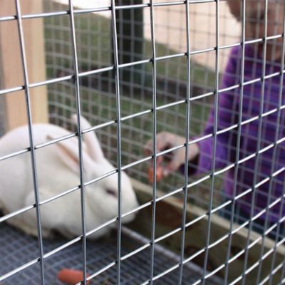 Image showing  10 ft. x 30 in. Welded Wire Fence