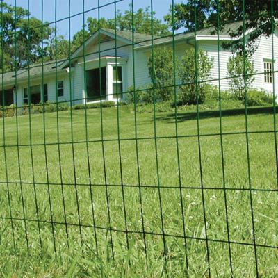 Image showing  50 ft. x 24 in. 16 Gauge Vinyl Welded Wire Fence with 2 in. x 3 in. Mesh, Green