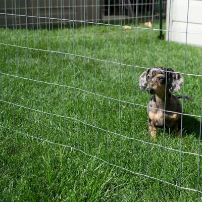 Image showing  25 ft. x 3 ft. 1 in. x 2 in. Mesh 16-Gauge Galvanized Cage Wire