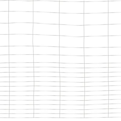 Image showing  28 in. x 50 ft. Garden Fence