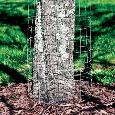 Image showing  28 in. x 50 ft. Garden Fence