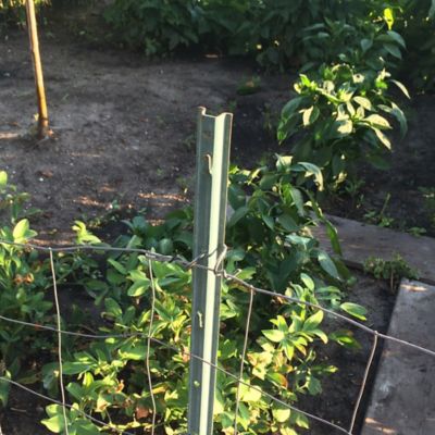 Image showing 4 ft. x 1 in. Light-Duty Fence U-Post