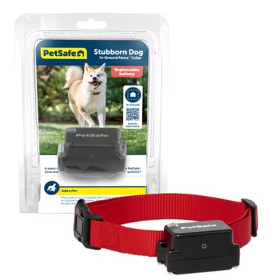 PetSafe Stubborn Dog In-Ground Fence Receiver Collar